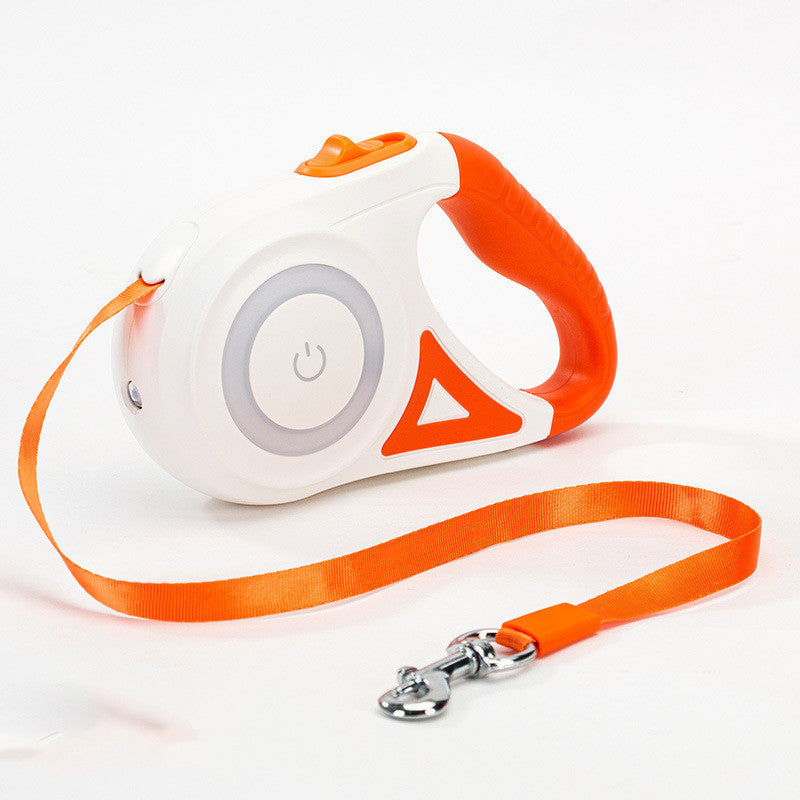 Laisse Intelligente à LED Passion Canine™ – Éclairez vos Promenades Nocturnes