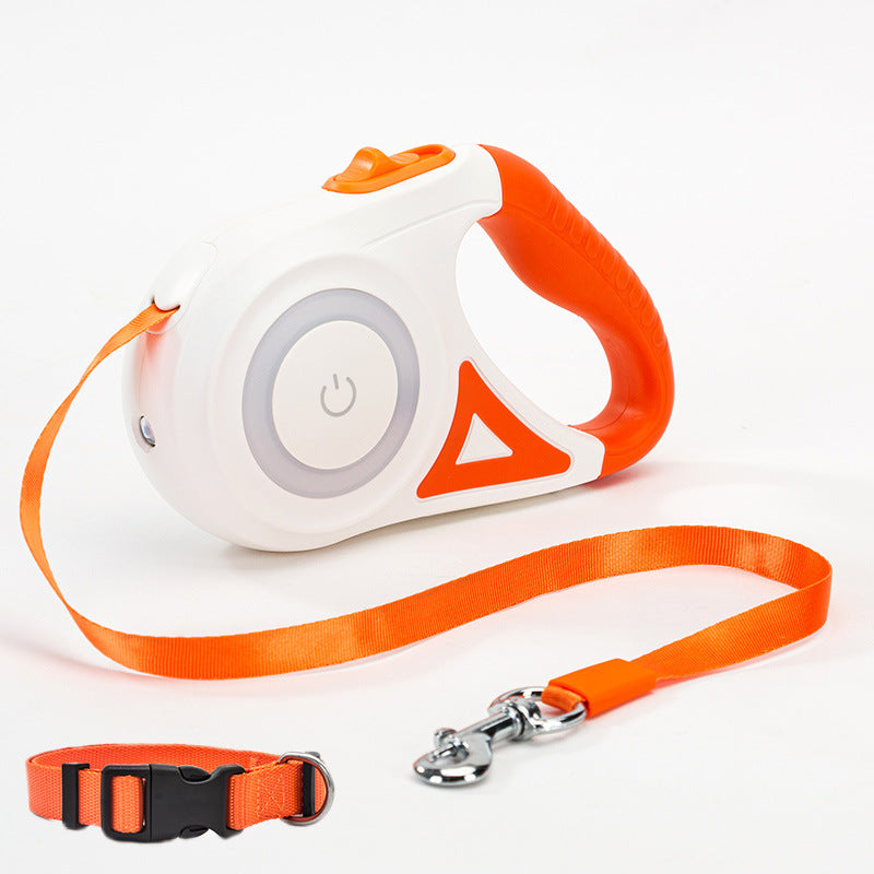 Laisse Intelligente à LED Passion Canine™ – Éclairez vos Promenades Nocturnes