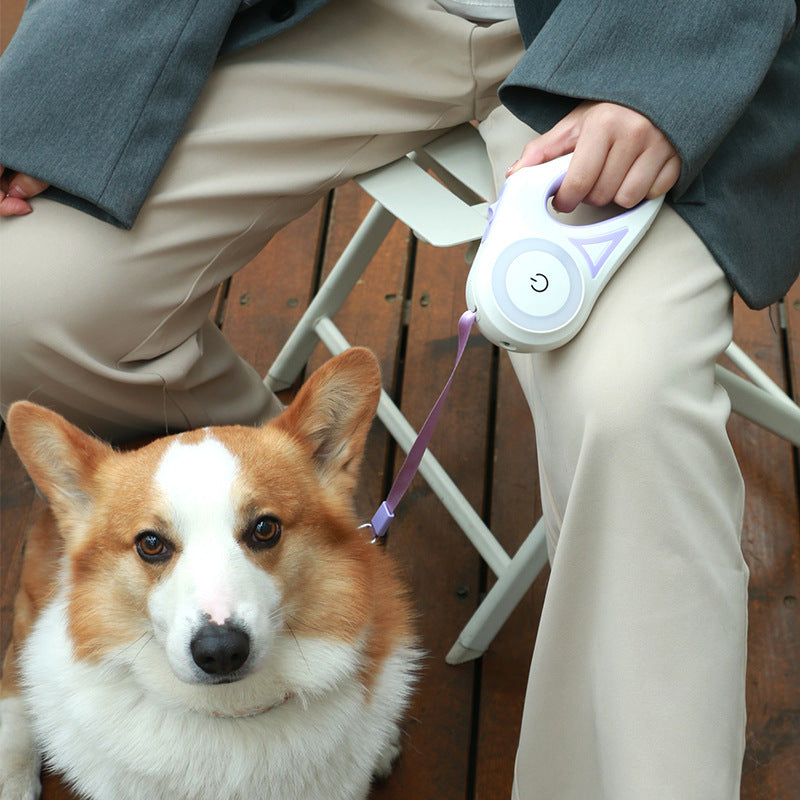 Laisse Intelligente à LED Passion Canine™ – Éclairez vos Promenades Nocturnes