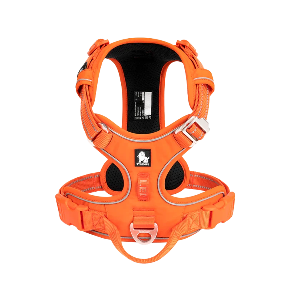 Harnais confort chien orange