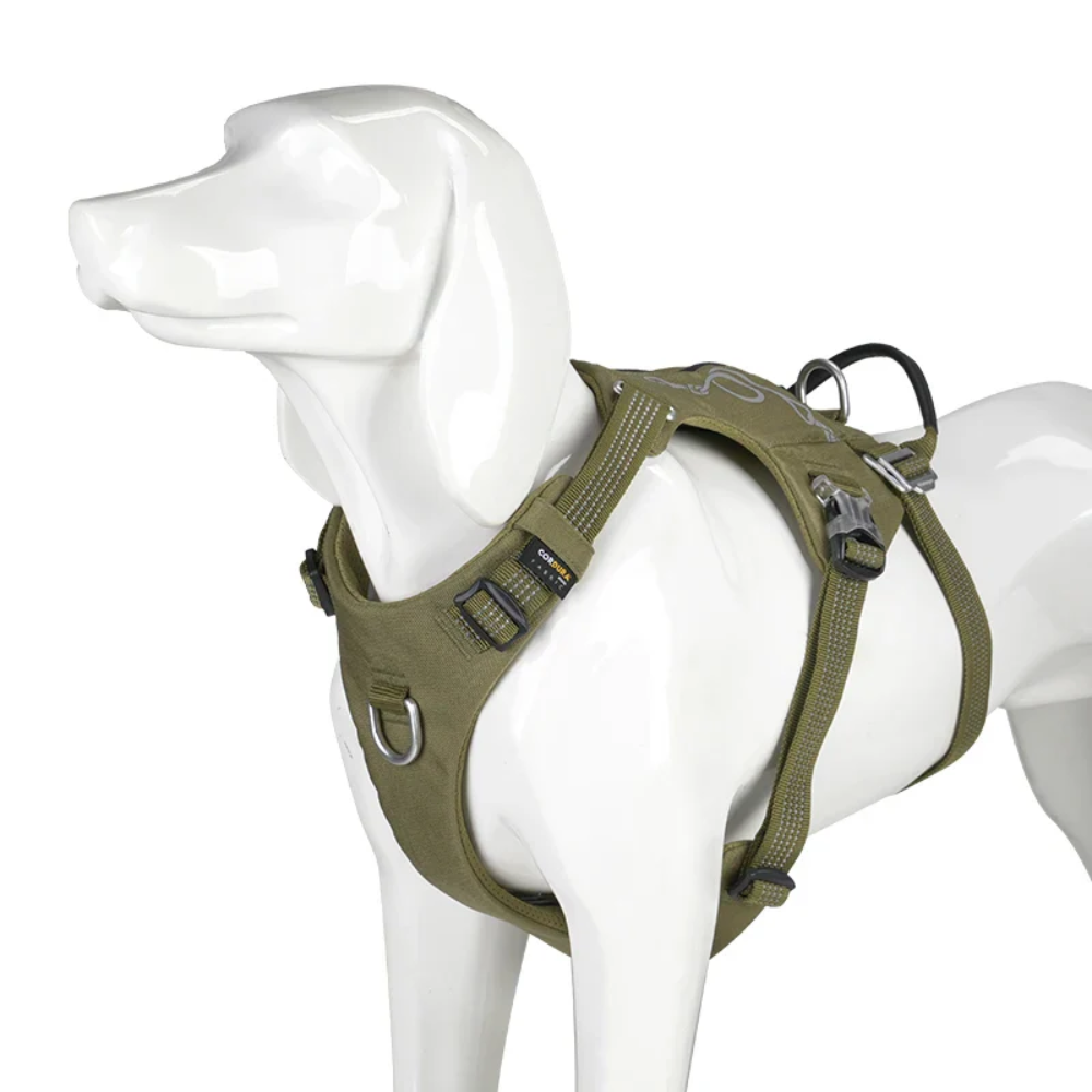 Harnais sac à dos chien vert