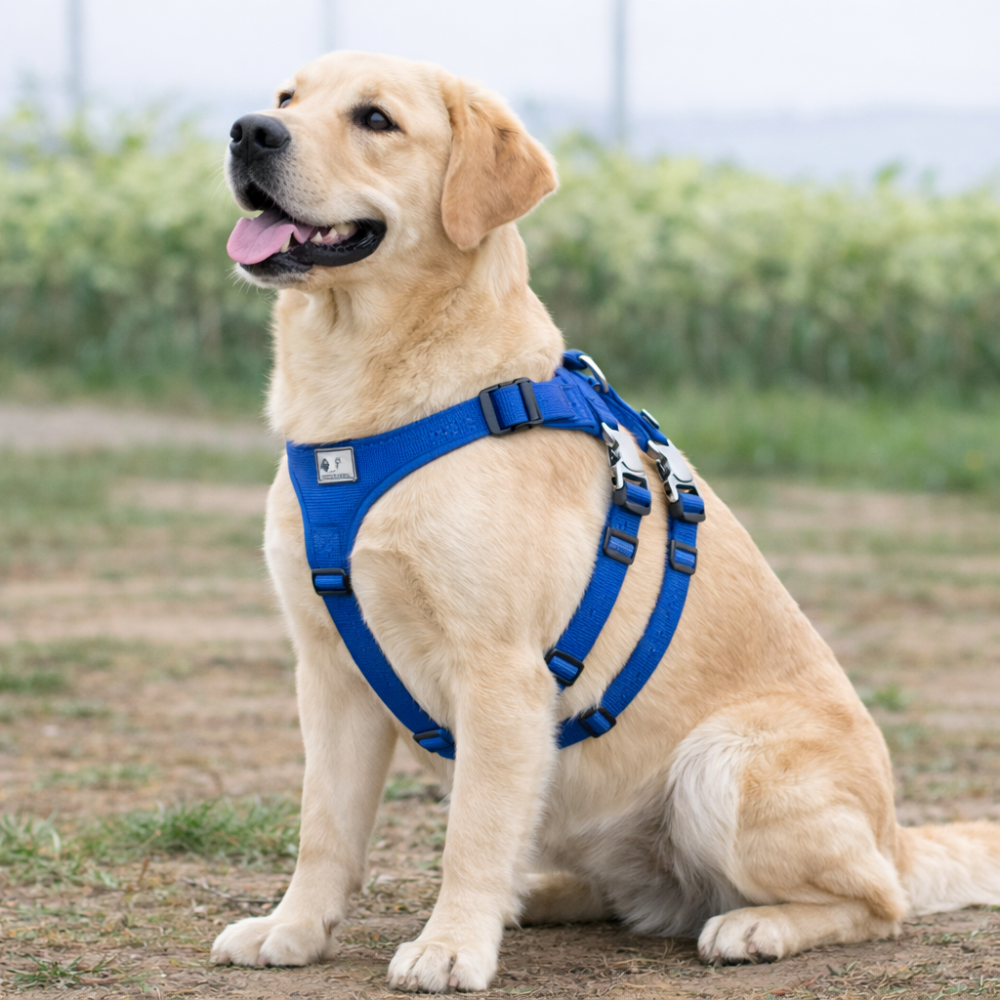 Harnais anti évasion chien réglable