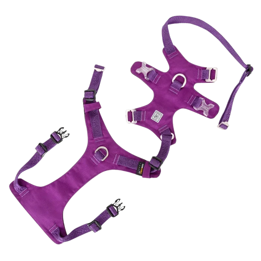Harnais en h chien résistant