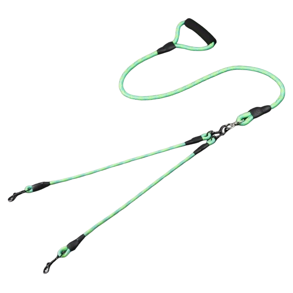 Laisse double pour chien