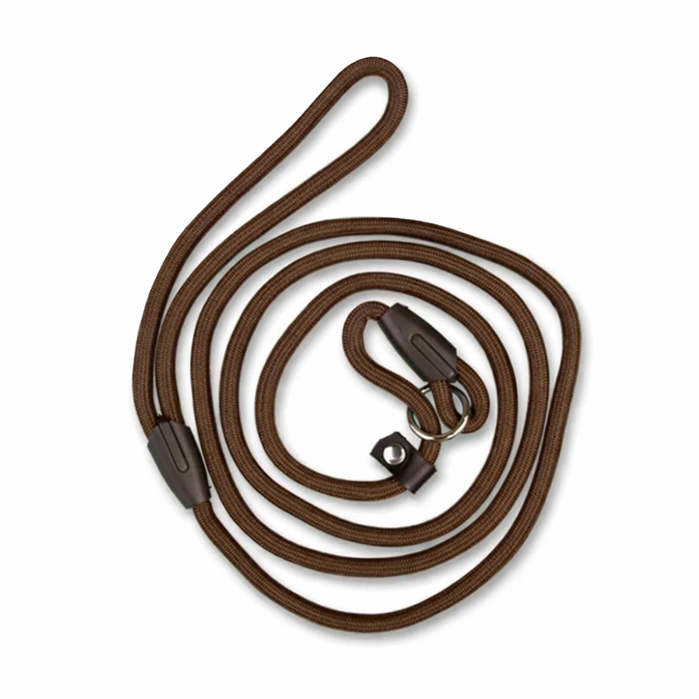 Laisse nylon pour chien de couleur marron