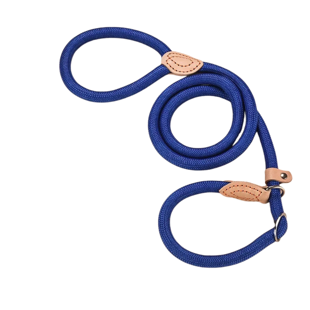 Laisse antidérapante chien