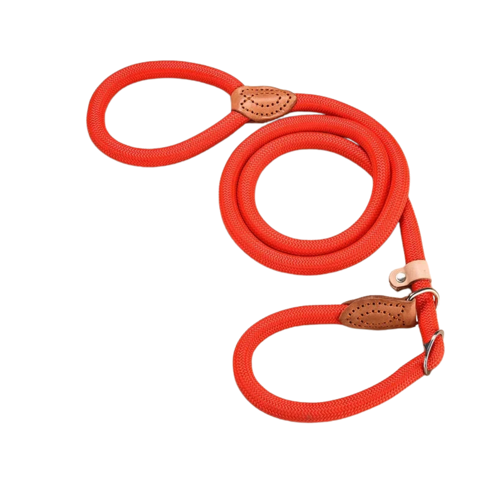 Laisse antidérapante chien rouge