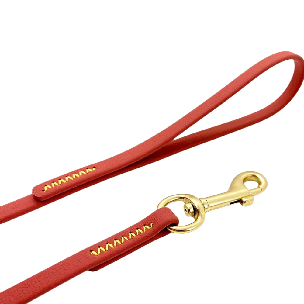 Laisse de dressage pour chien pratique