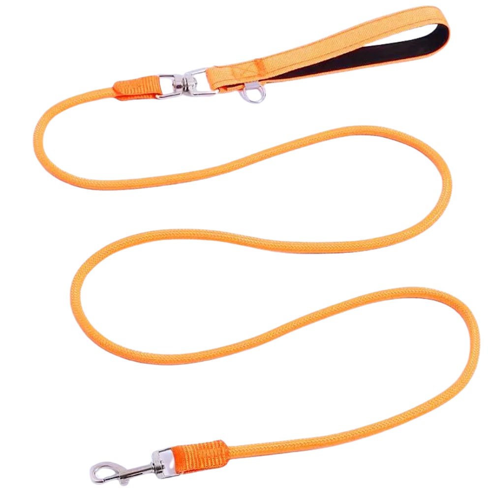 Laisse classique pour chien orange