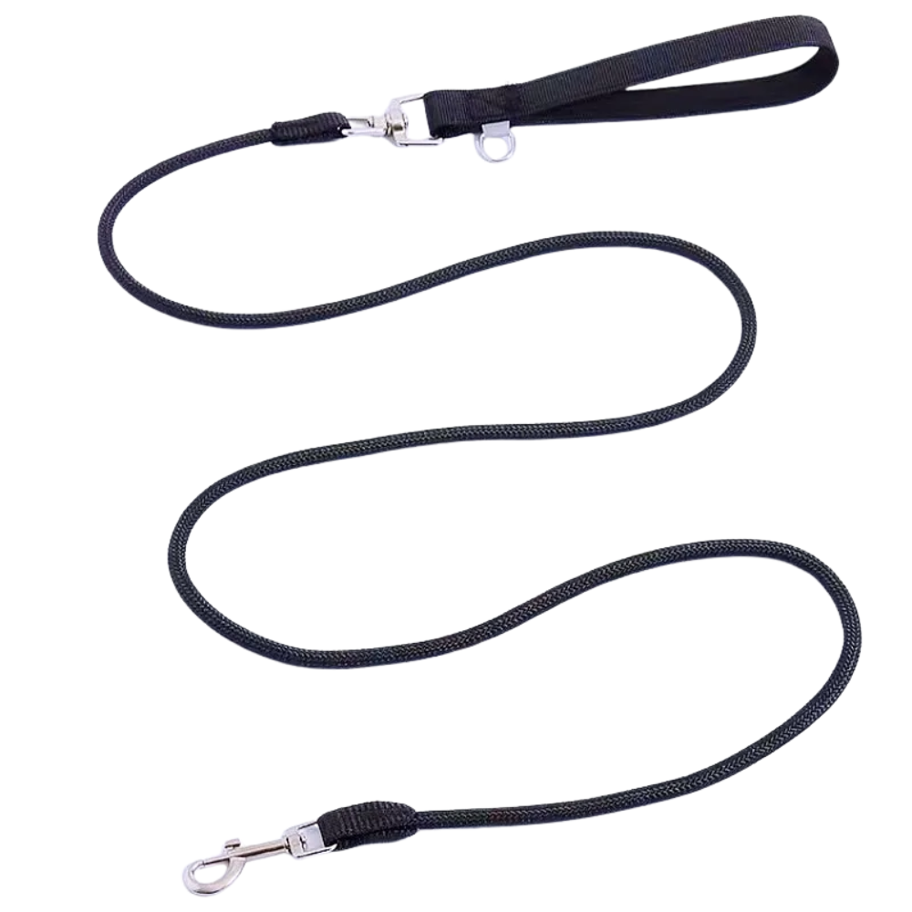 Laisse classique pour chien