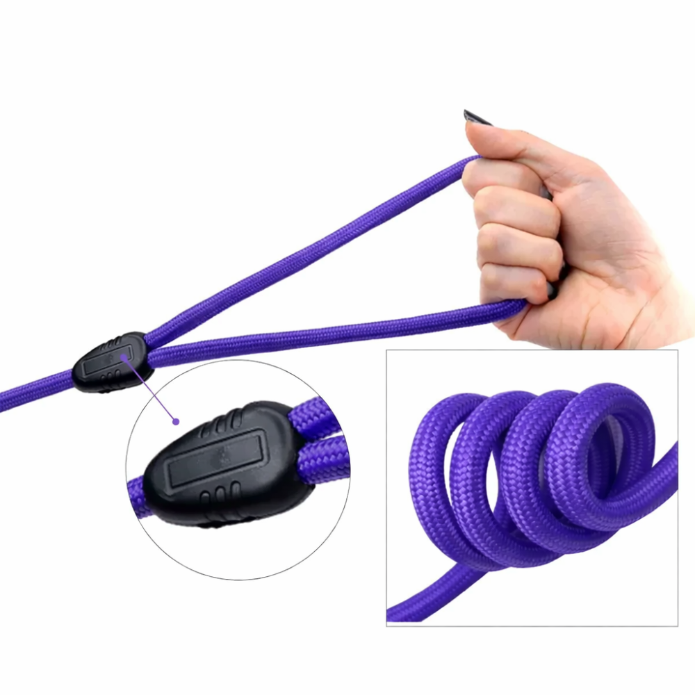 Longe rappel chien avec renfort