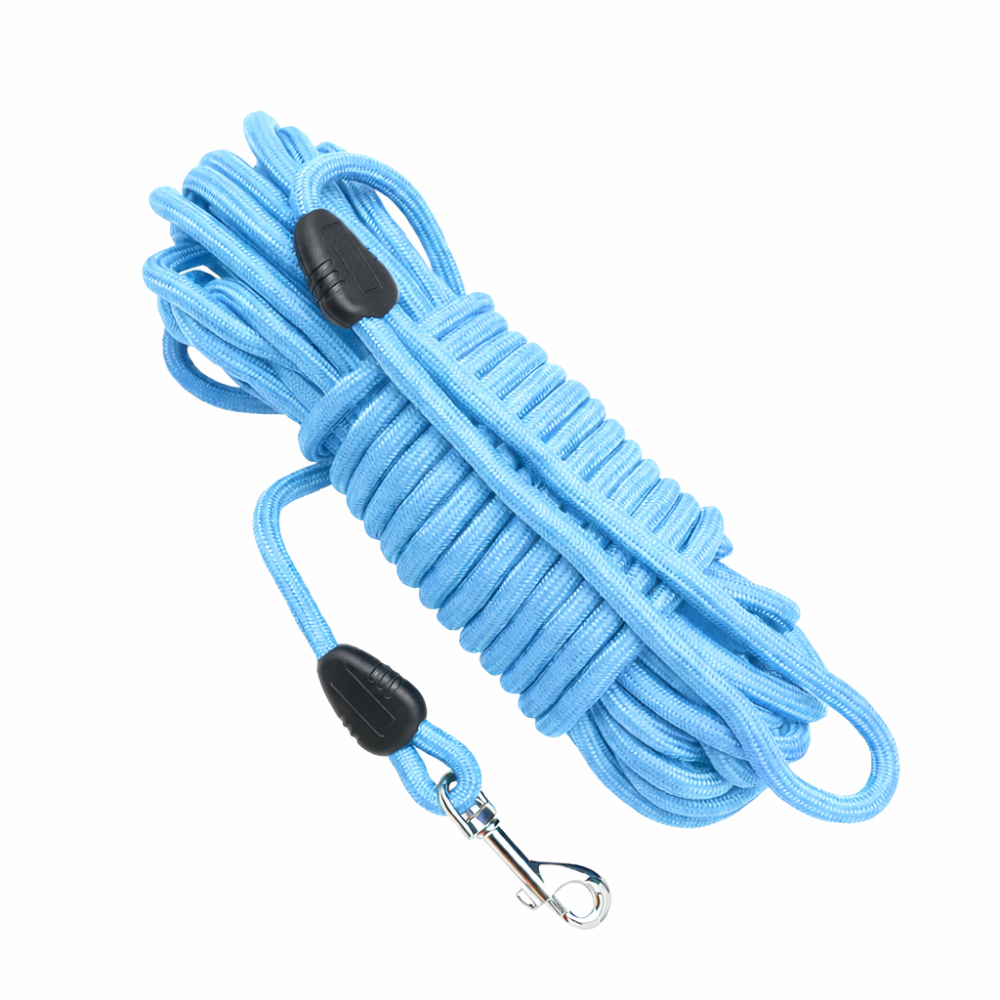 Longe rappel chien bleu