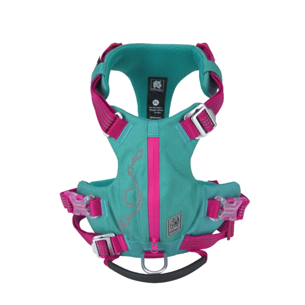 Harnais sac à dos chien