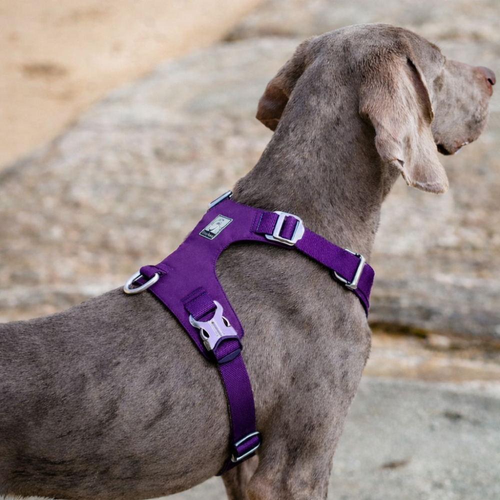 Harnais tactique chien ajustable