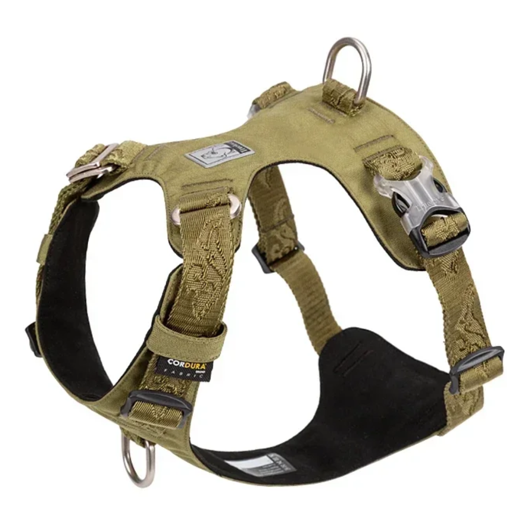 Harnais tactique chien cordura