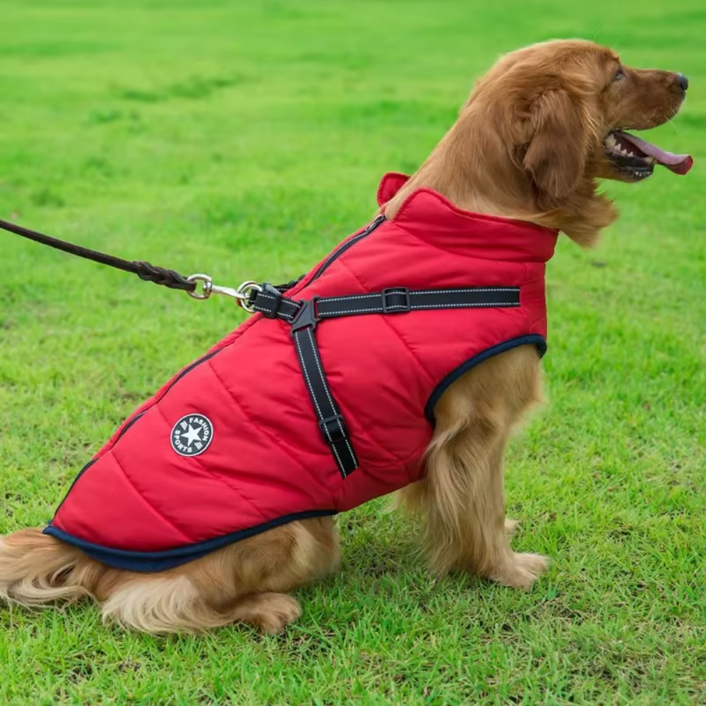 Blouson pour chien réglable rouge