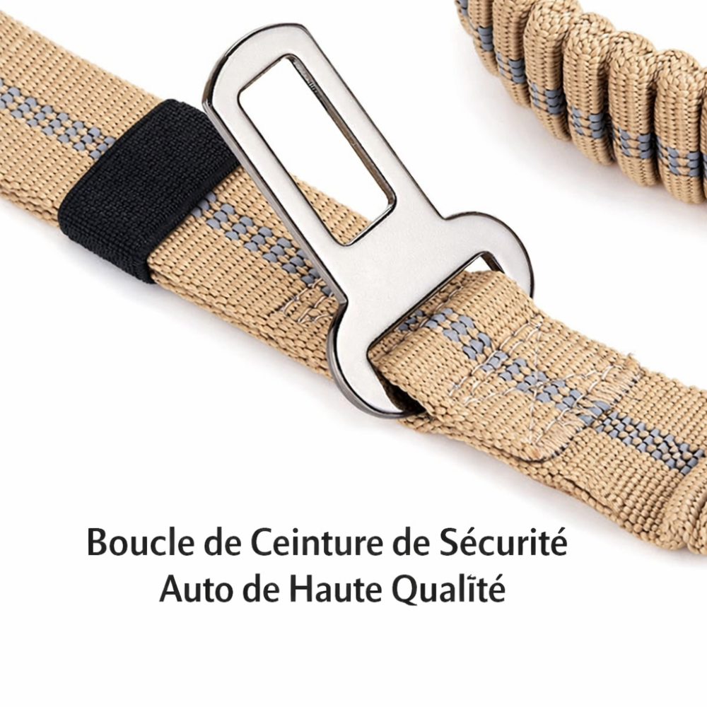Laisse tactique chien voiture
