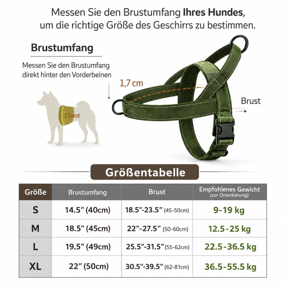Harnais renforcé chien guide des tailles allemand