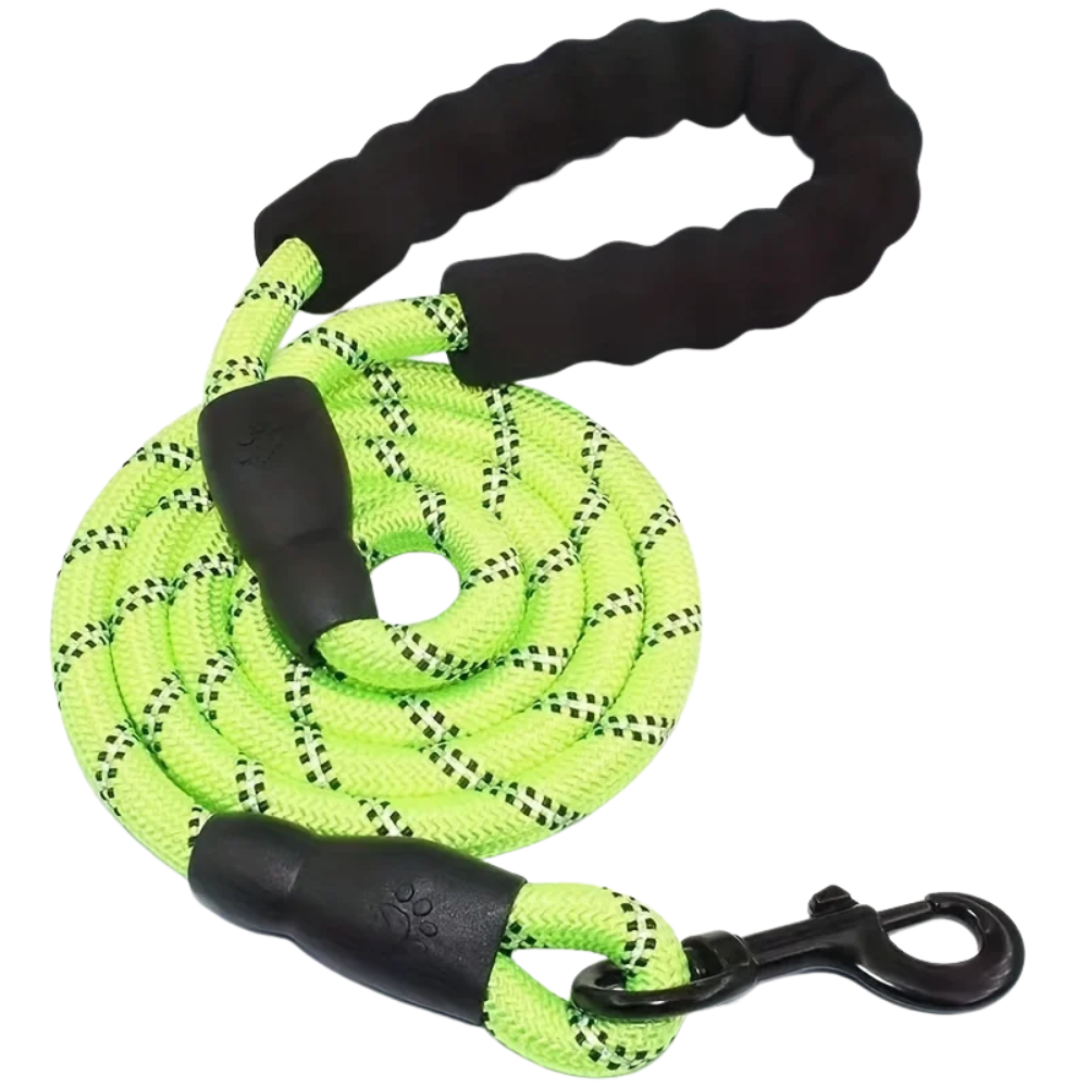 Laisse pour chien robuste verte 