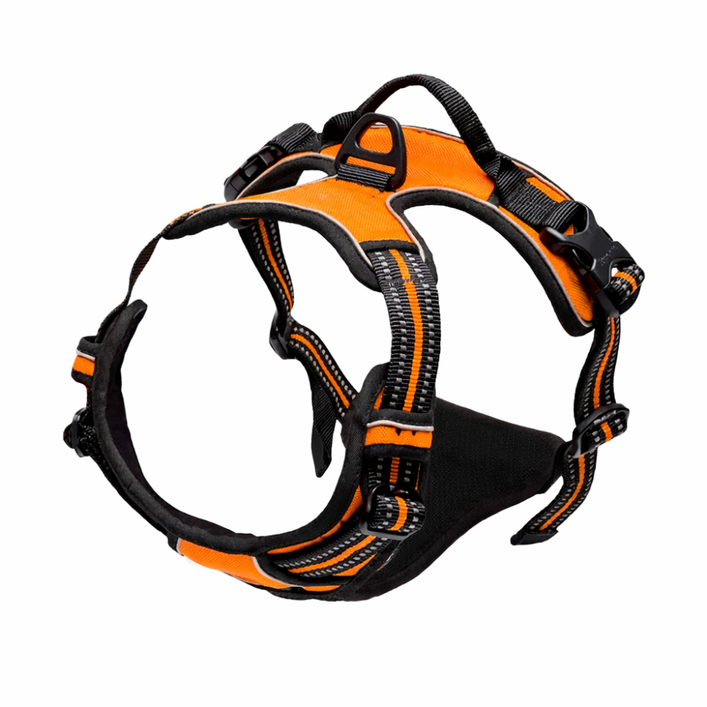 Harnais haute visibilité chien orange