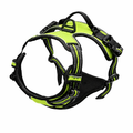Harnais haute visibilité chien