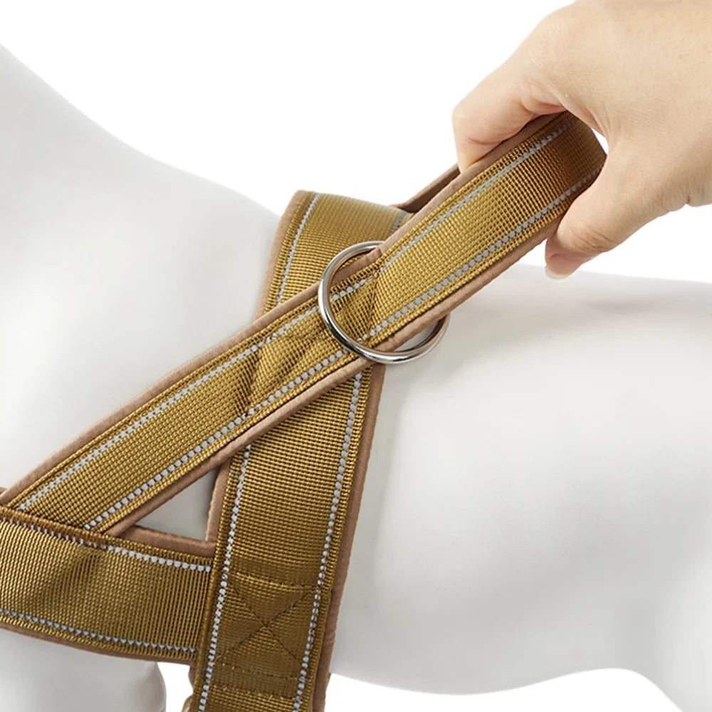 Harnais renforcé chien de couleur beige 