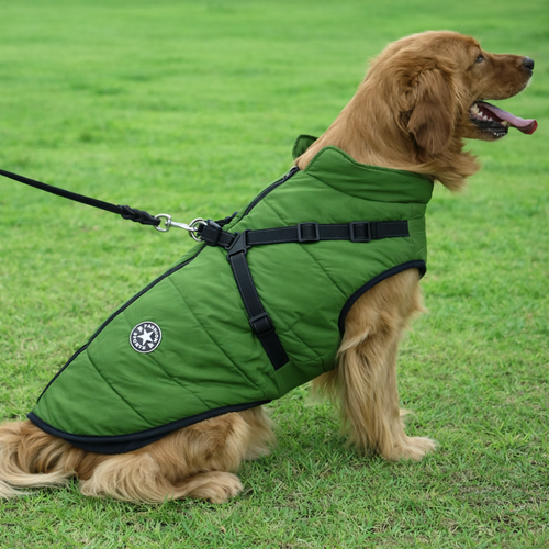 Blouson pour chien vert