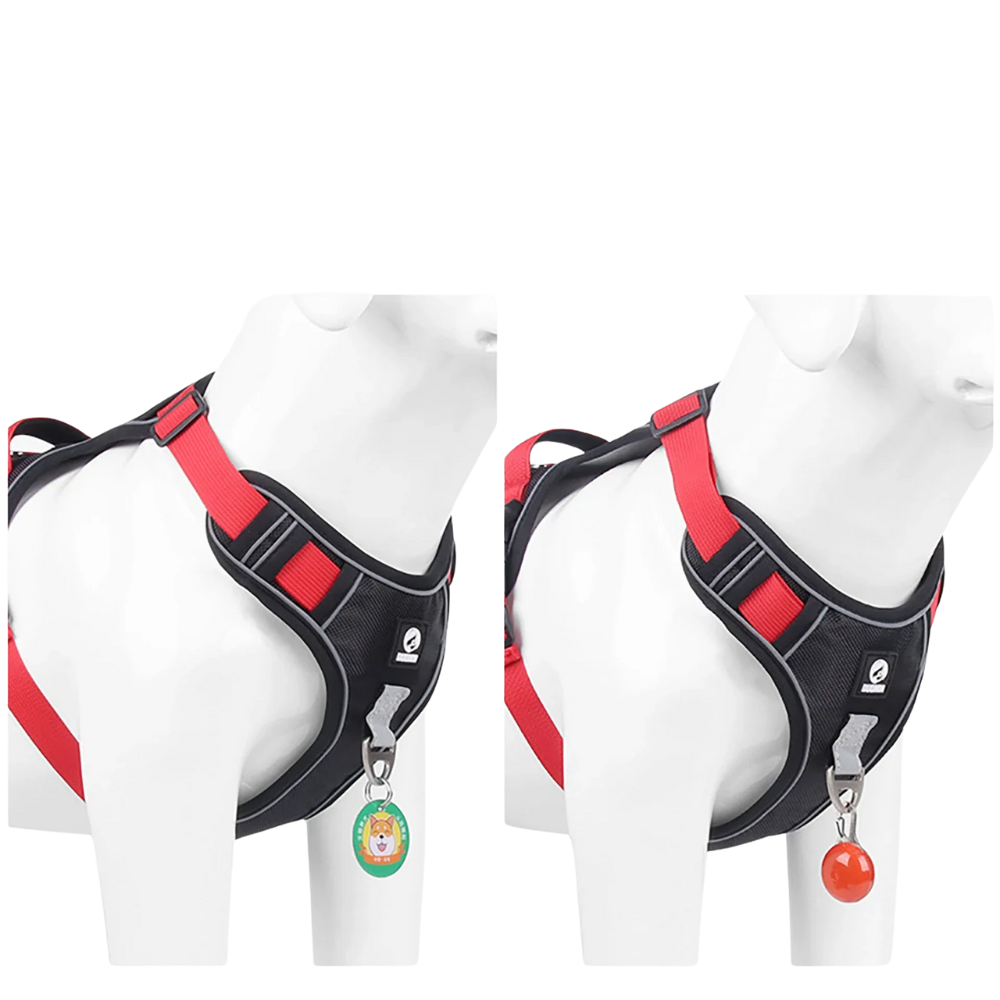 Harnais étanche chien respirant