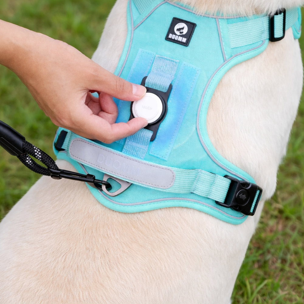 Harnais chien airtag
