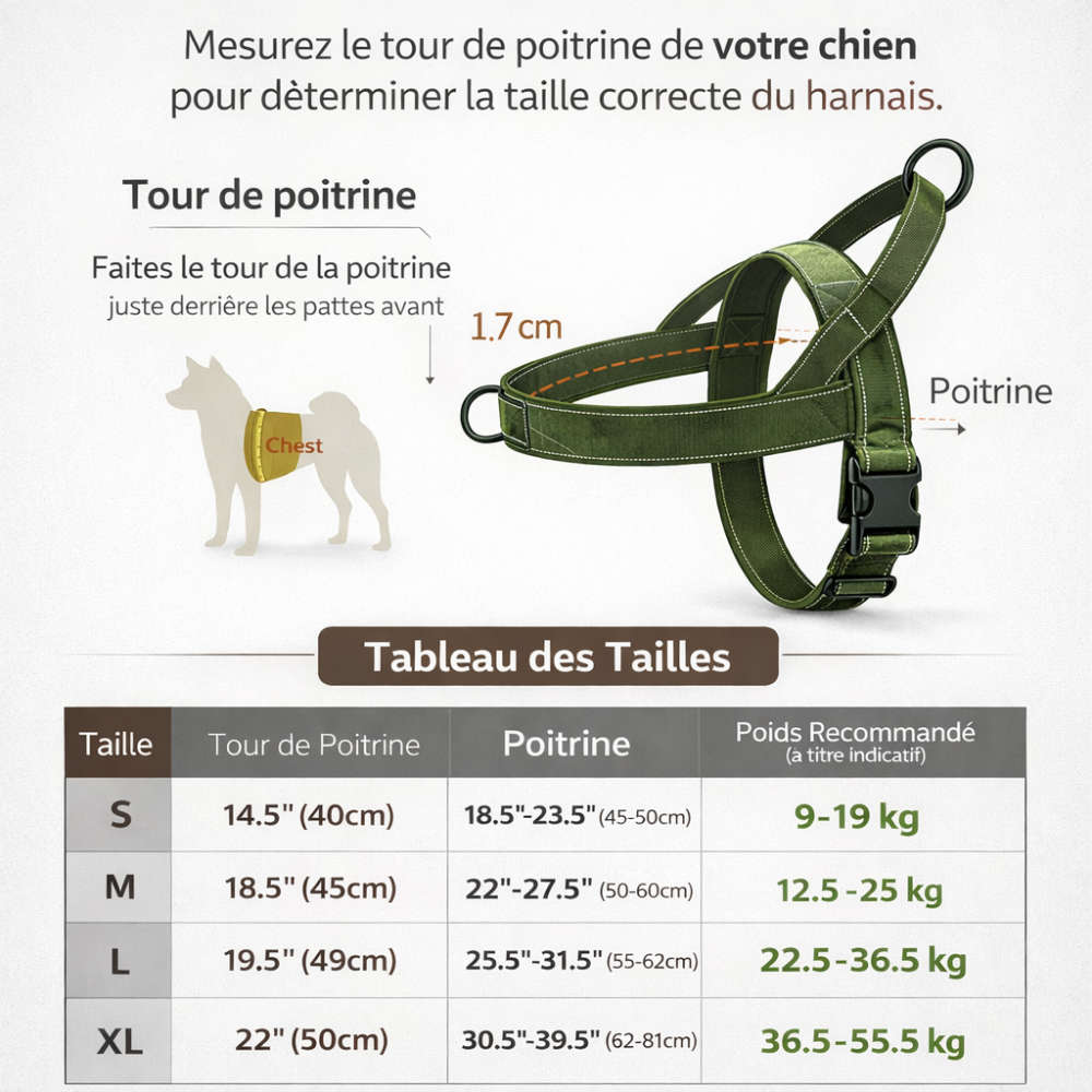 Harnais renforcé chien guide des tailles