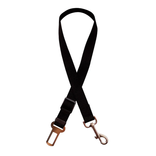 Ceinture pour chien noir