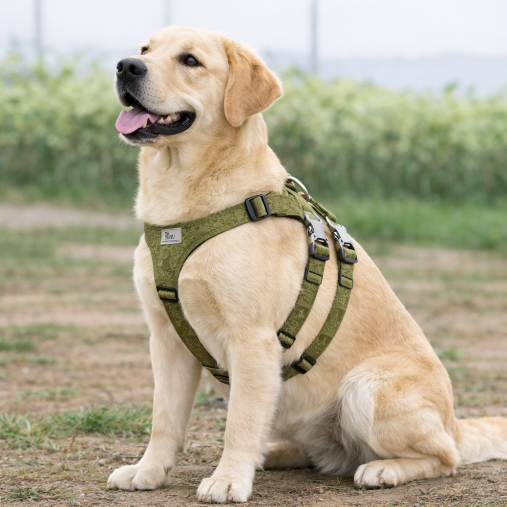 Harnais anti évasion chien solide